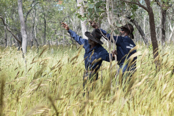Land and Sea Ranger Program – National Parks Association of Queensland