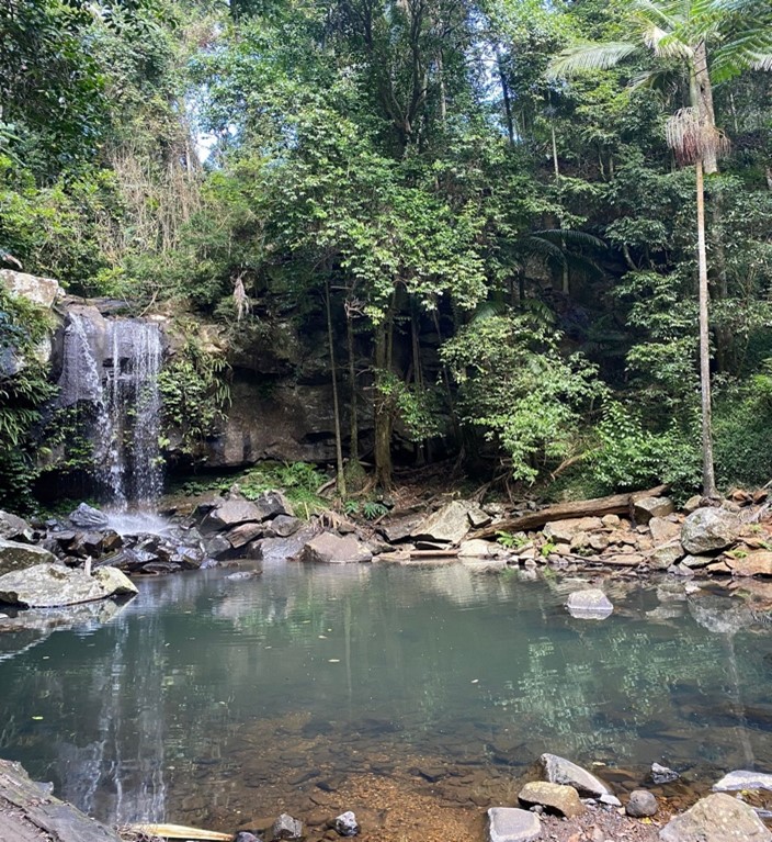 NP Experience Arrum Harahap National Parks Association Of Queensland Np experience arrum harahap national parks association of queensland