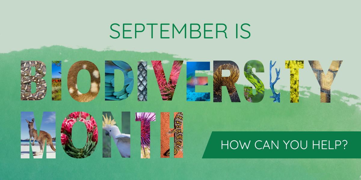 September is Biodiversity Month