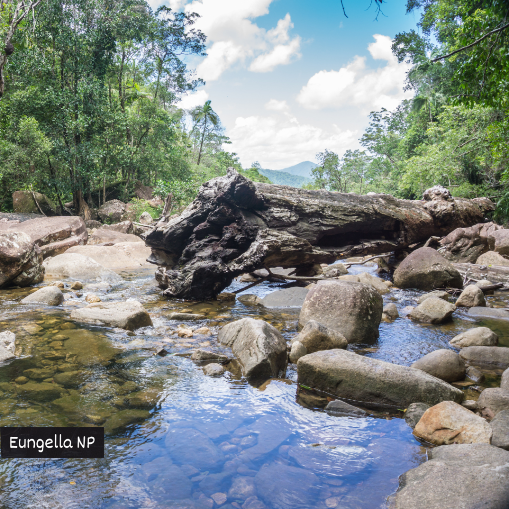 Eungella National Park