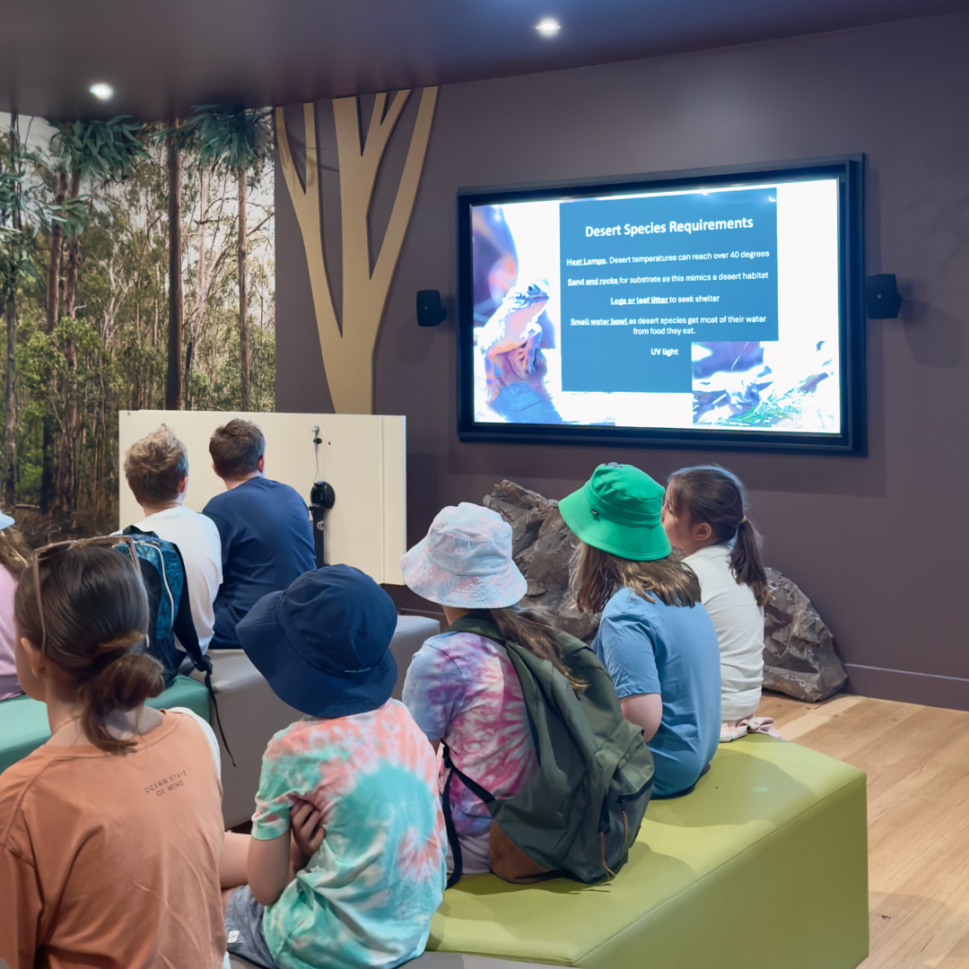 Children at Walkabout Creek Discovery Centre.