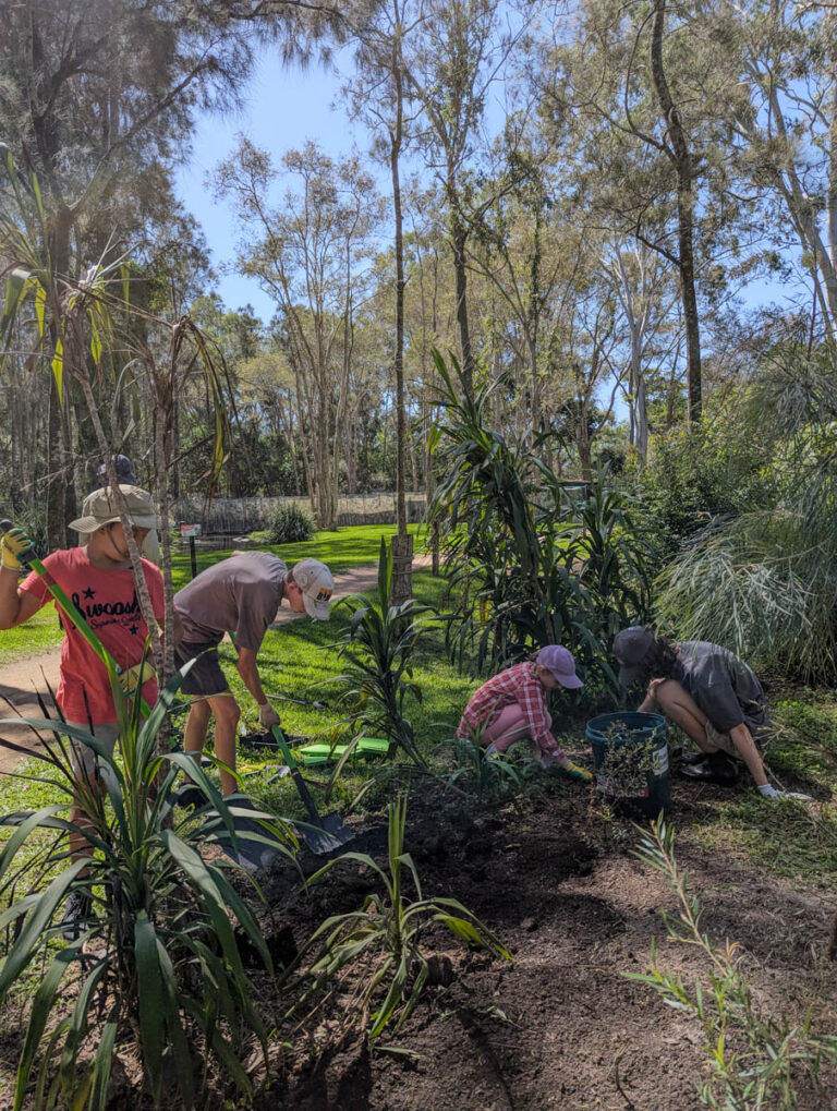 Bush Ranger Qld Parks Connect Cadet Ranger – National Parks Association of Queensland